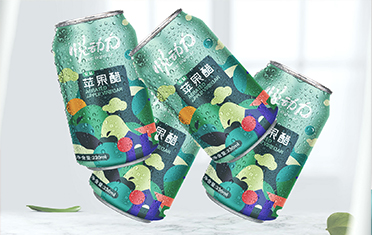 巴彦淖尔苹果醋包装设计