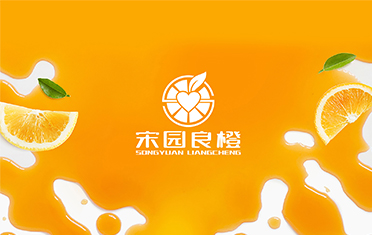 某良橙——巴彦淖尔LOGO设计